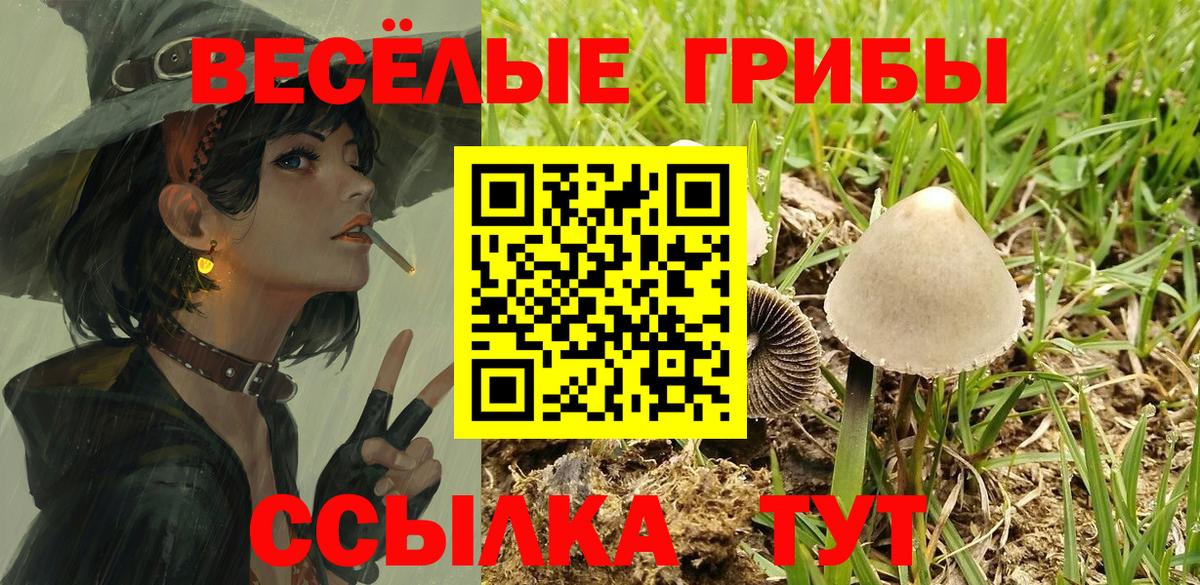 Сергиев Посад  магазин    Псилоцибиновые грибы GOLDEN TEACHER  Вход с VPN  Псилоцибиновые грибы Magic Shrooms 