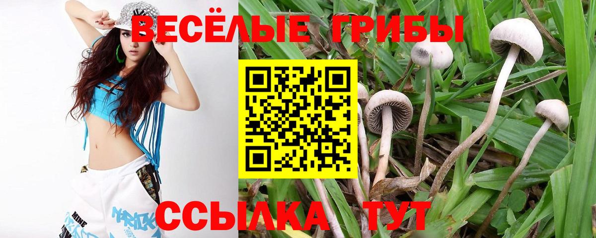 Псилоцибиновые грибы мухоморы Сергиев Посад